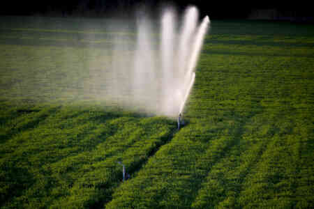 Automated Solid Set Big Gun® installation