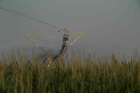 Nelson's SR100 Big Gun® Sprinkler picking up added irrigated acres in Nebraska