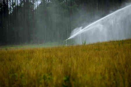 Nelson Irrigation's SR150 Big Gun® Sprinkler Irrigating Pasture on TWIG® Controlled System