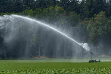 SR200 Big Gun® Sprinkler on Hose Reel Traveler