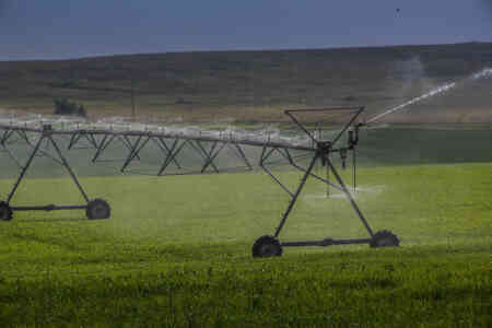 Nelson Irrigation's Up-Top Accelerator Pivot Sprinklers with the Navy Plates get things covered in Nebraska