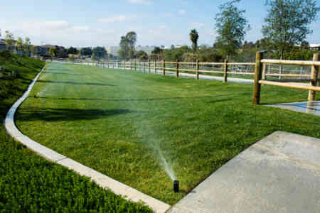 arbor_ranch_site-16.jpg