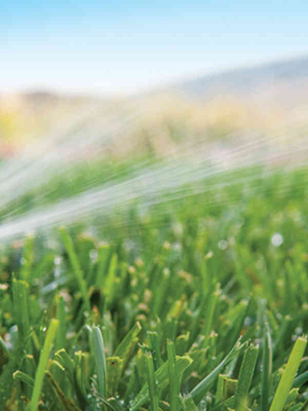 The MP Rotator nozzle is the most trusted high-efficiency solution on the market, offering up to 30% water savings over traditional spray nozzles.