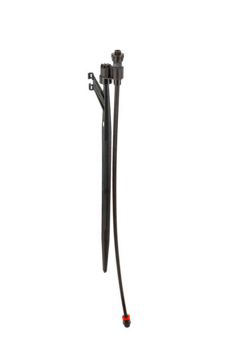 MP Stake