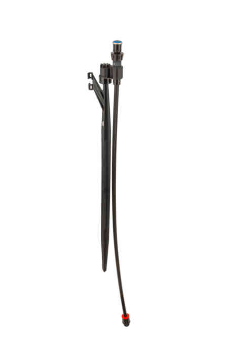 MP Stake