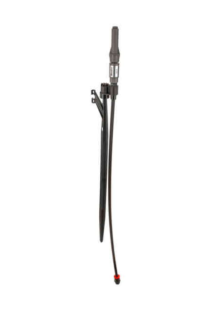 MP Stake