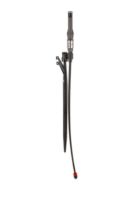 MP Stake