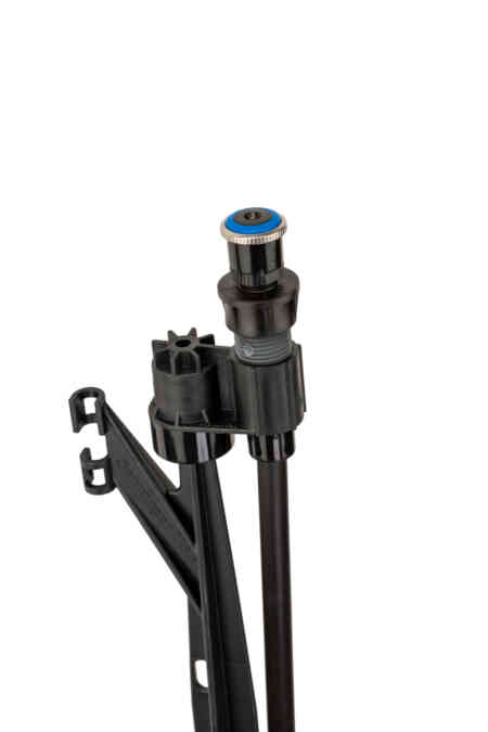 MP Stake
