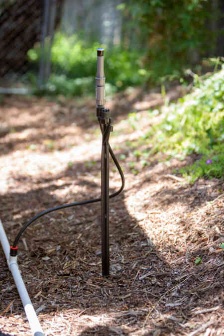 MP Stake