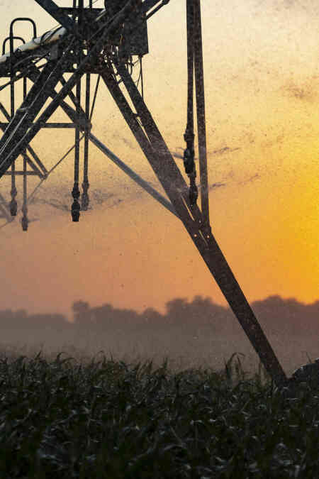 Nelson Off axis pivot sprinkler irrigating during a Nebraska sunset