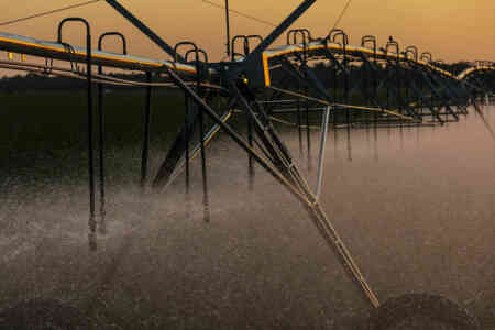 Nelson Orbitor FX pivot sprinkler irrigating a Nebraska corn field