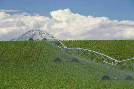 Nelson's Irrigation's Orbitor Pivot Sprinklers Irrigating Sugarbeets on a hilly field in Idaho