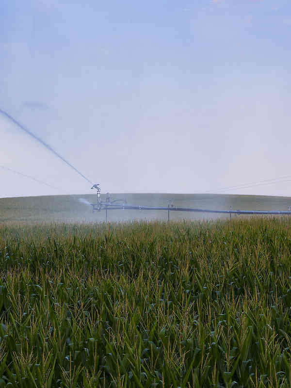 A Nelson P85AS Brass Impact accompanies a SR100 Big Gun® at the end of a center pivot