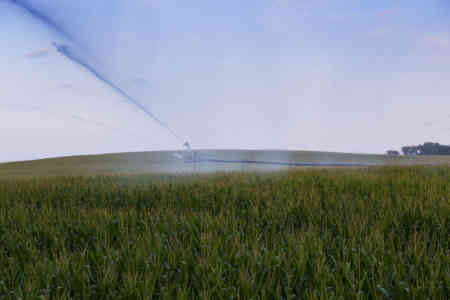 A Nelson P85AS Brass Impact accompanies a SR100 Big Gun® at the end of a center pivot