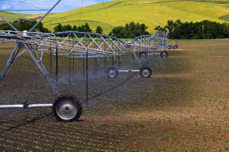 Dry wheel tracks made possible with with Nelson Irrigation's Part-Circle Pivot Sprinklers