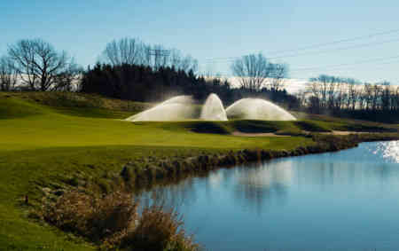 The Bull at Pinehurst Farms