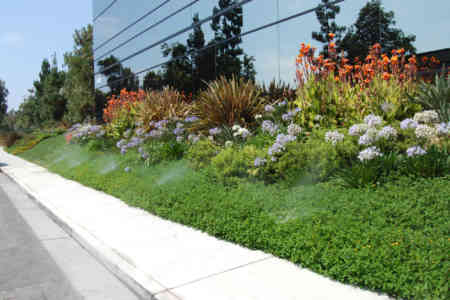 Pro Adjustable Nozzles