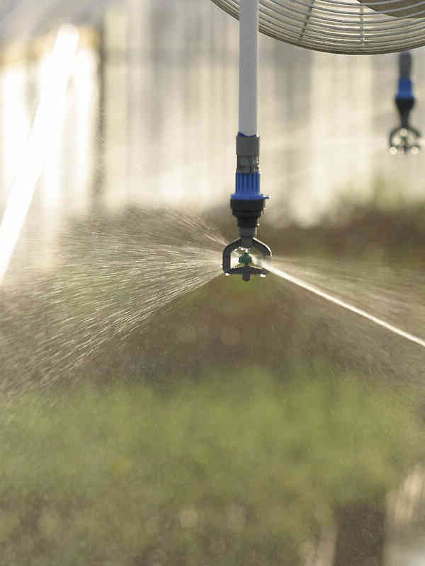Nelson Irrigation's R10TG Rotator® sprinklers irrigating nursery stock in a hoop house