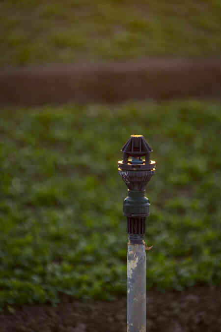 Nelson Irrigation's R2000WF Rotator® on 1/2" Drain Check