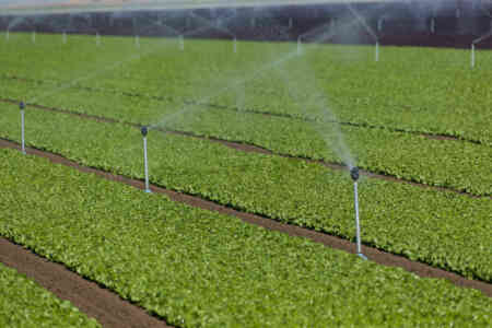 Nelson Irrigation's High Uniformity R2000WF Rotator® sprinkler