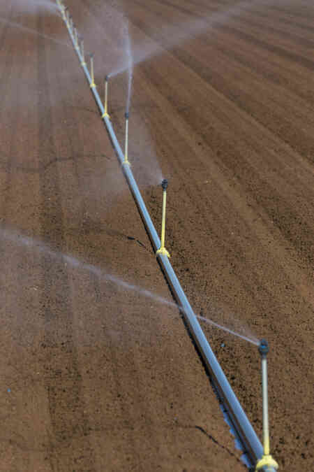 Nelson Irrigation's High Uniformity R2000WF Rotator® sprinkler germinating crop in California