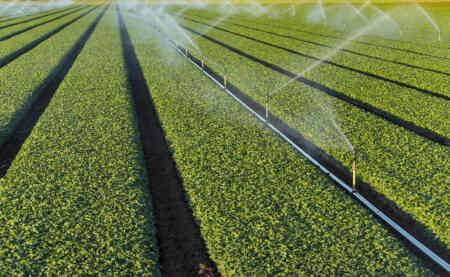 Nelson Irrigation's High Uniformity R2000WF Rotator® sprinkler