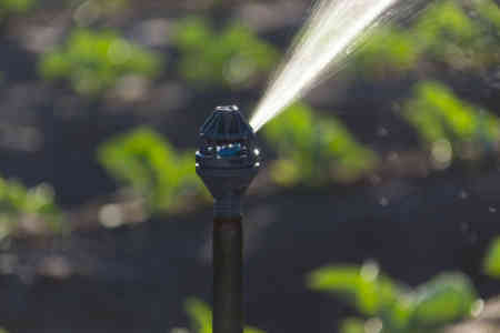 Nelson Irrigation's High Uniformity R2000WF Rotator® sprinkler