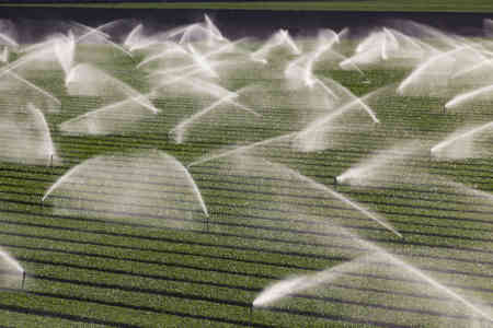 Large field in California irrigated by Nelson Irrigation's High Uniformity R2000WF Rotator® sprinkler