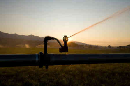 Nelson Irrigation's R33 Rotator® sprinkler on wheel line