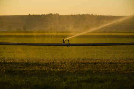 Nelson Irrigation's R33 Rotator® sprinkler on wheel line