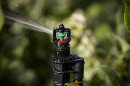 Nelson Irrigation's R5 Rotator® sprinkler with Acme Adapter