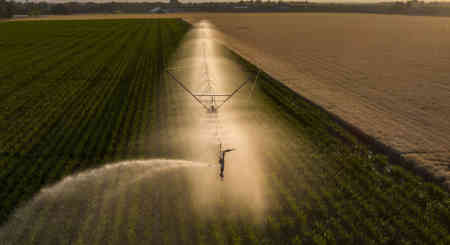 Nelson's R75 End of Pivot Sprinkler irrigating corn in Washington State