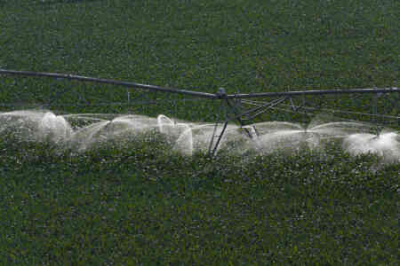 Overhead shot of a center pivot with Nelson Irrigation's Rotator® sprinklers