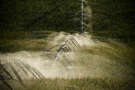 Nelson Irrigation's Up-Top Rotator® pivot sprinklers on a field with rolling hills