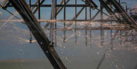 A line-up of Nelson Irrigation's R3000 Rotator® Sprinklers with Orange Plates