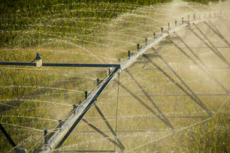 Nelson Irrigation's Up-Top Rotator® Pivot Sprinkler creates a wide throw pattern