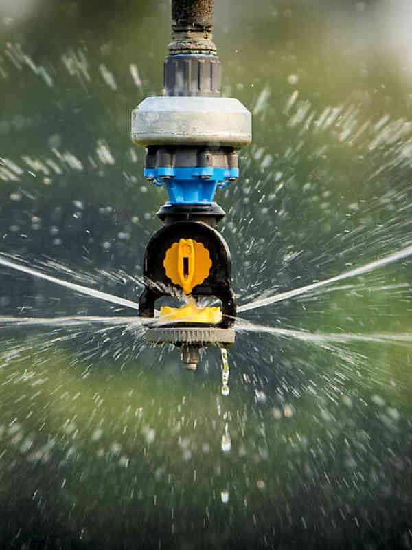 Nelson's S3030 Spinner with Yellow Wind-fighting Plate