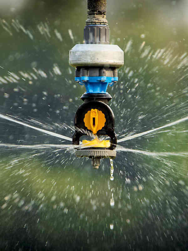 Nelson's S3030 Spinner with Yellow Wind-fighting Plate