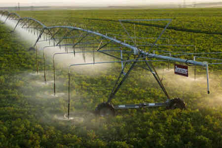 Nelson's S3000 Spinner irrigating potatoes