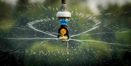 Nelson's S3030 Spinner with Yellow Wind-fighting Plate