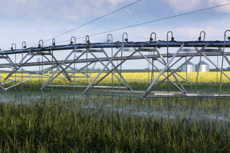 Nelson's S3000 Spinners with Yellow  Plates irrigating corn