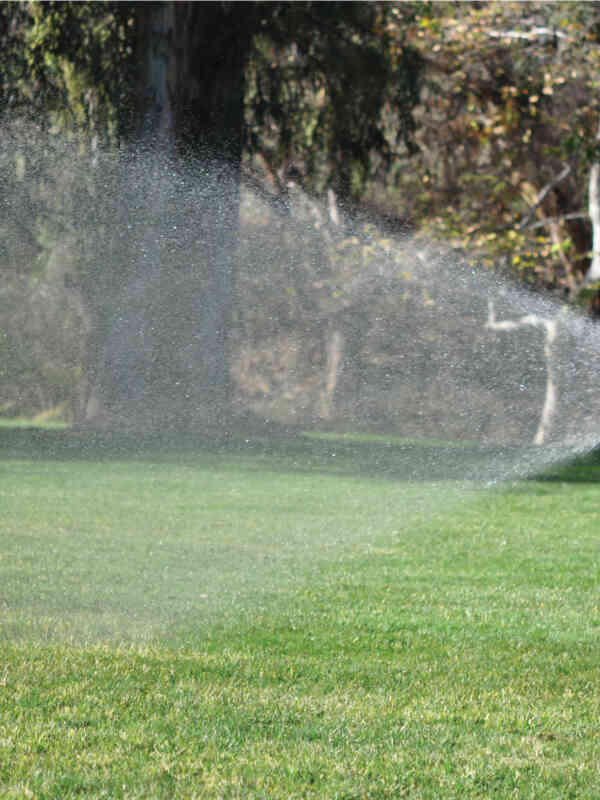 Spot Shot Fan Pattern