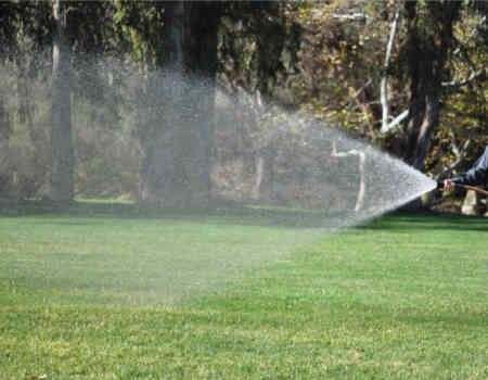 Spot Shot Fan Pattern