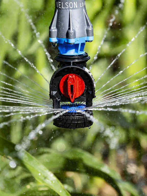 Nelson Irrigation's D3030 Sprayhead with Blue Plate