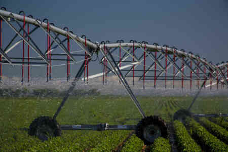 Nelson Irrigation's Sprayhead on Center PIvot