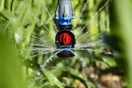 Nelson Irrigation's D3030 Sprayhead with Blue Plate
